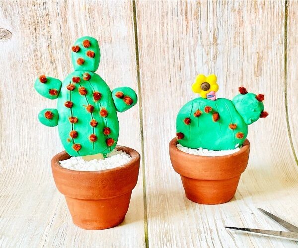 C is for Clay and Cacti!