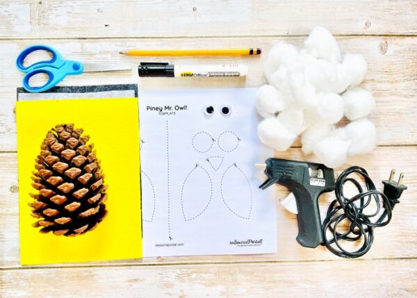 Piney Mr. Owl! - Image 2