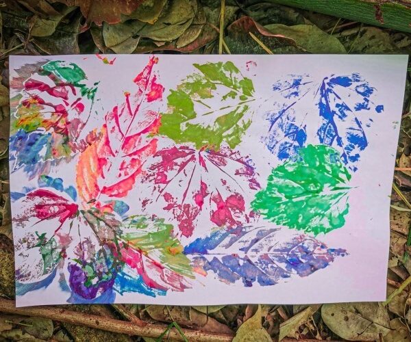 Chromatica-Leaf