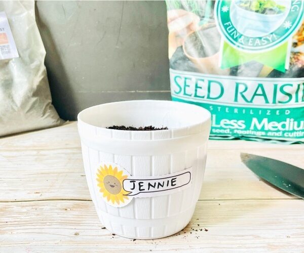 Plant Your Sunshine