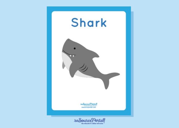 Shark