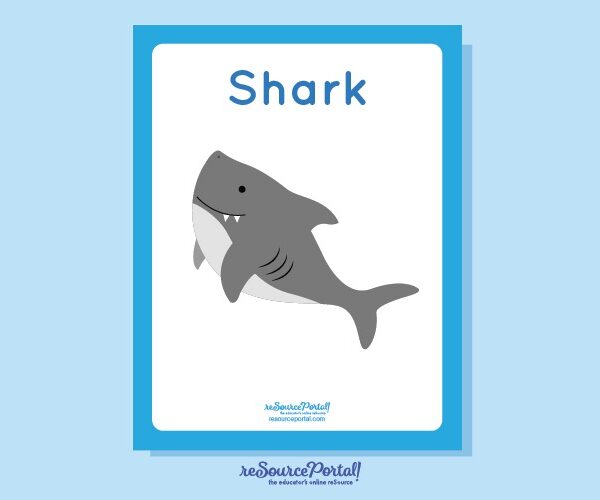 Shark