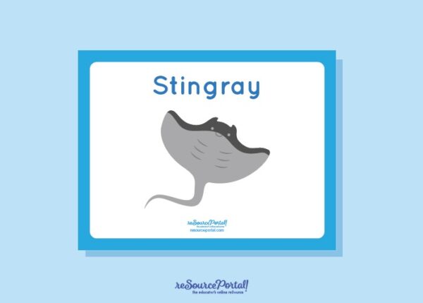 Stingray - Image 2
