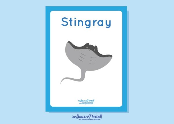 Stingray
