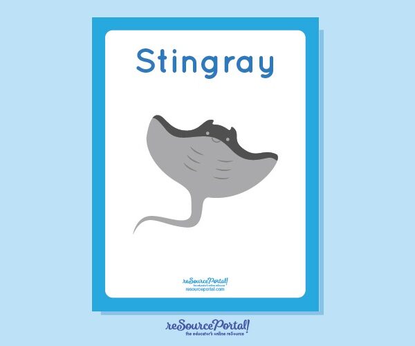 Stingray