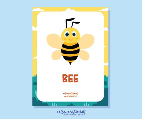 Bee Classification Aid