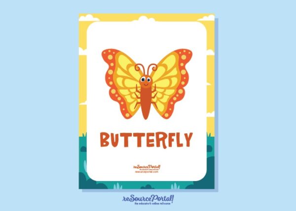 Butterfly Illustration