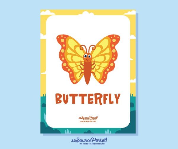 Butterfly Illustration