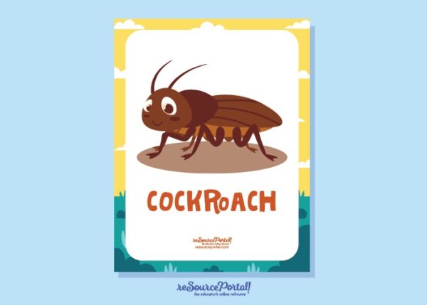 Cockroach Educational Illustration