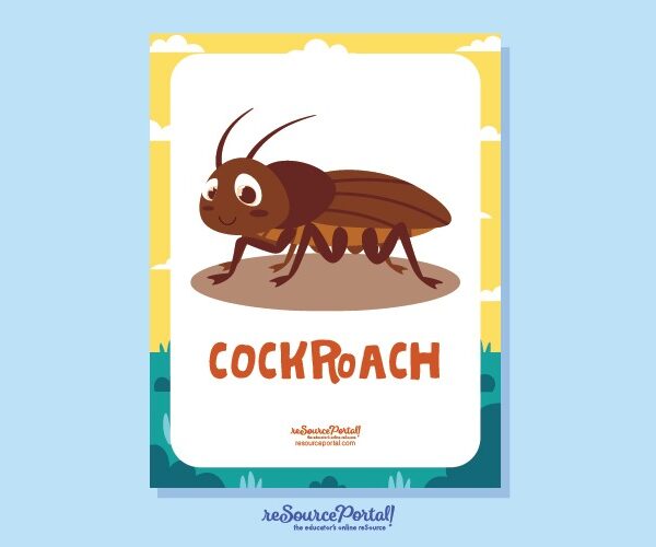Cockroach Educational Illustration