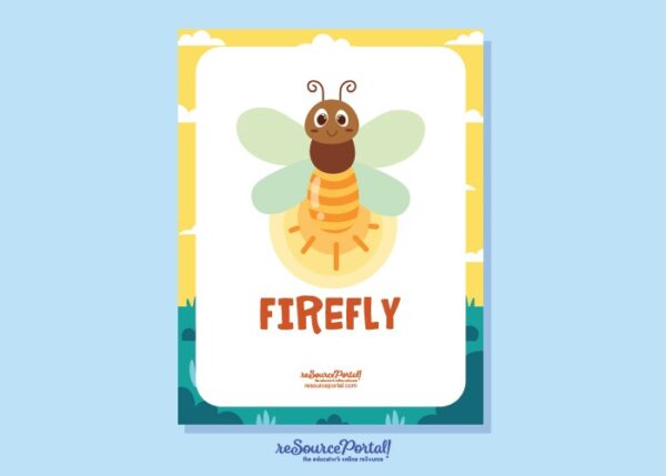 Discover Fireflies - Image 2