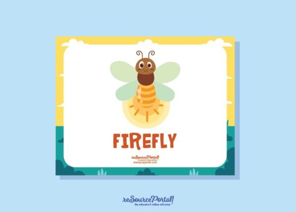 Discover Fireflies