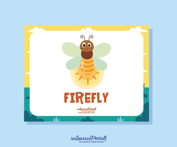 Discover Fireflies