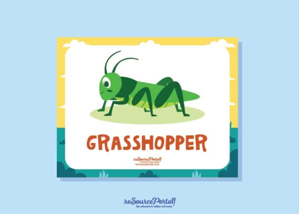Grasshopper Guide - Image 2