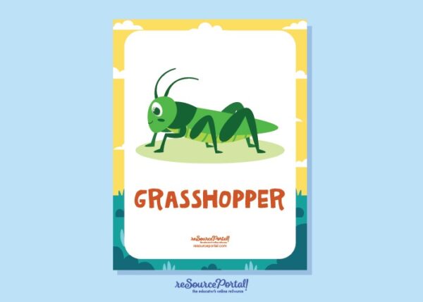 Grasshopper Guide