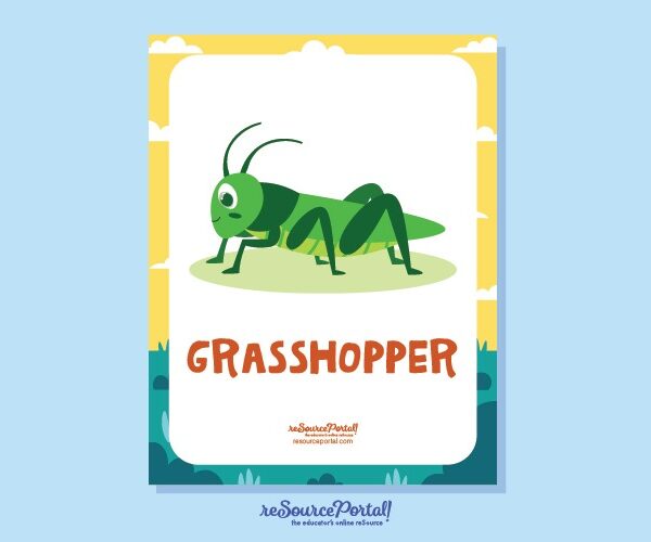 Grasshopper Guide
