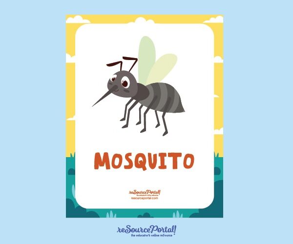 Mosquito Illustration