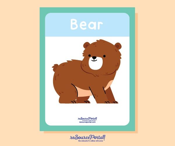 Bear Classification Tool