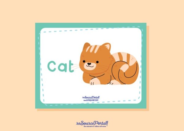 Cat Educational Resource - Image 2