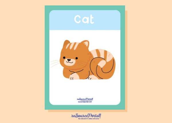 Cat Educational Resource