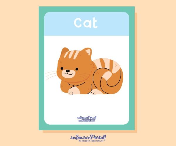 Cat Educational Resource