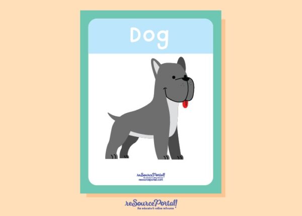 Dog Illustration