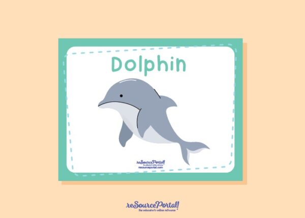 Dolphin Educational Illustration - Image 2