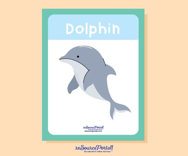 Dolphin Educational Illustration