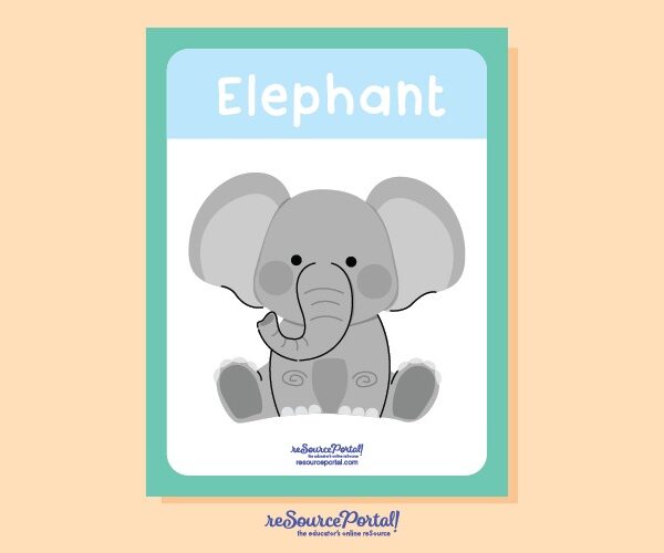Elephant Study Guide