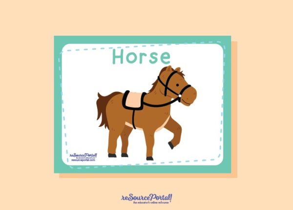 Horse Study Guide - Image 2