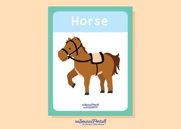 Horse Study Guide