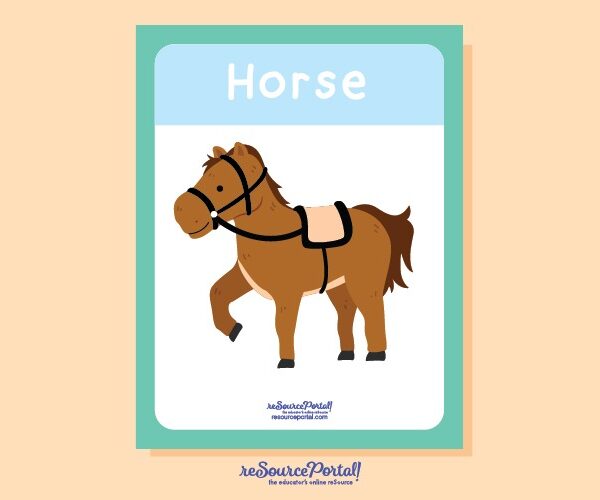 Horse Study Guide
