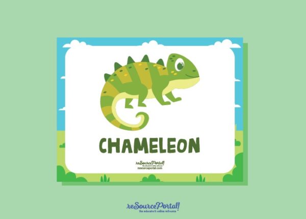 Chameleon Educational Resource - Image 2