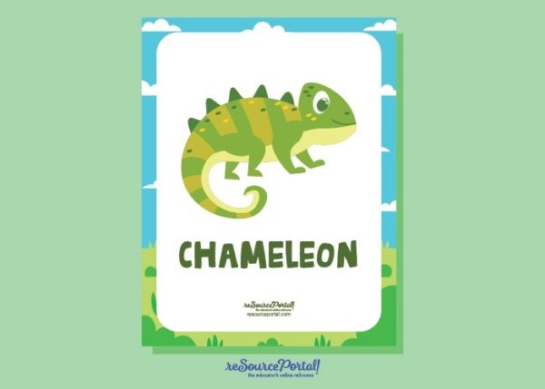 Chameleon Educational Resource