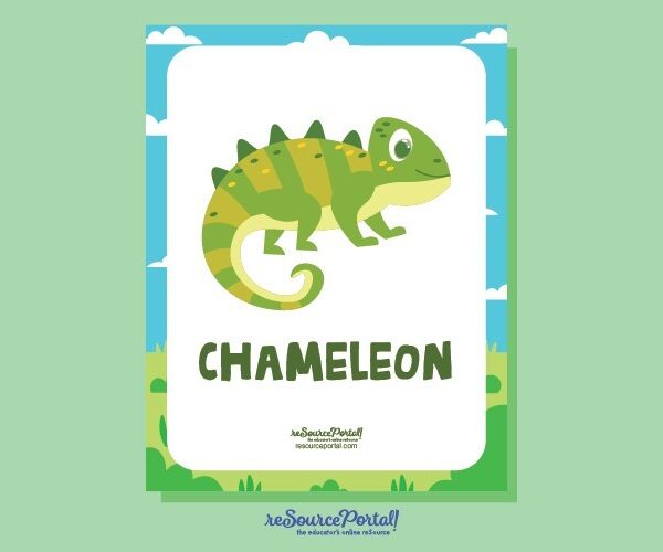 Chameleon Educational Resource