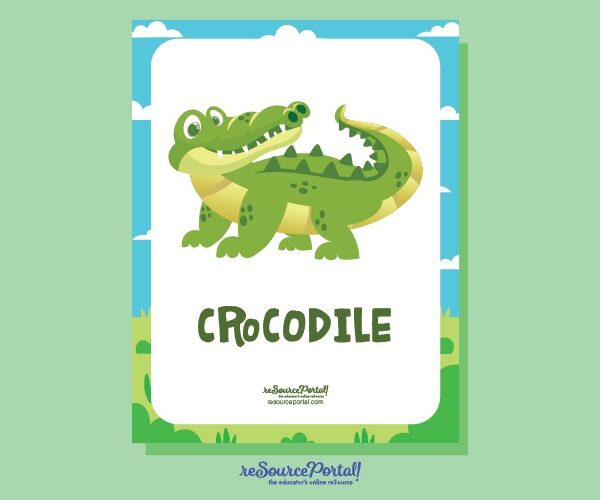 Crocodile Illustration