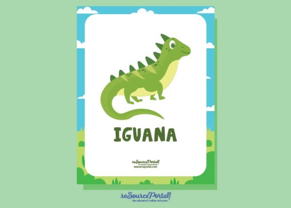 Iguana Illustration