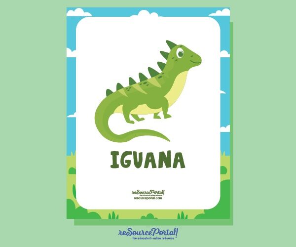 Iguana Illustration