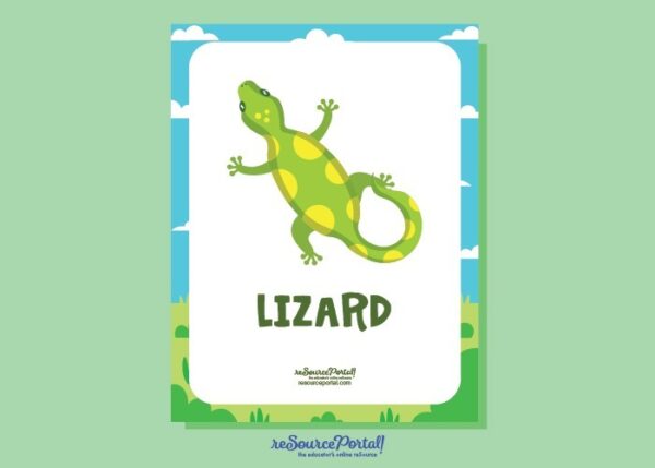 Lizard Educational Illustration