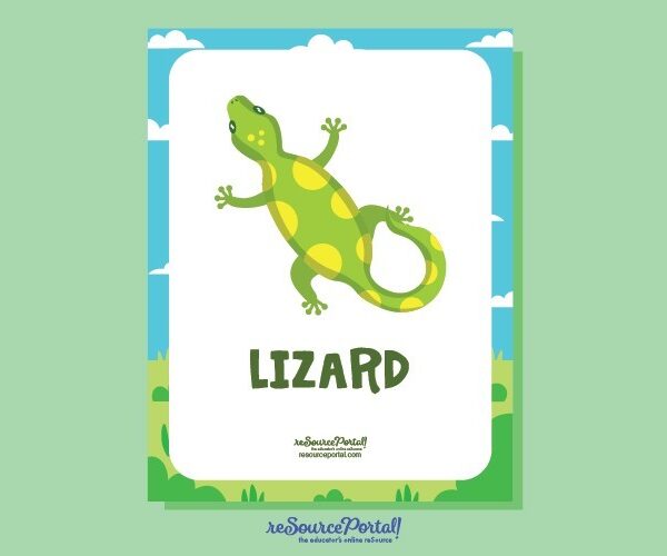 Lizard Educational Illustration