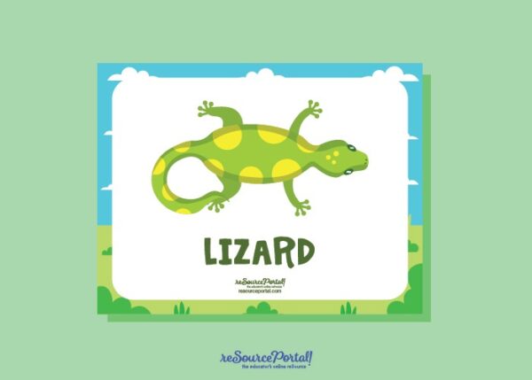 Lizard Educational Illustration - Image 2