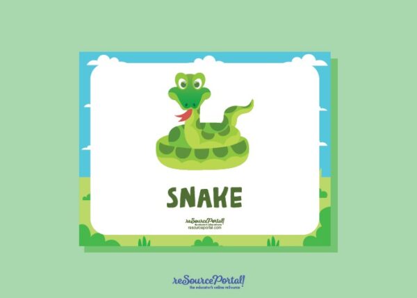 Snake Study Guide - Image 2