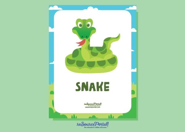 Snake Study Guide
