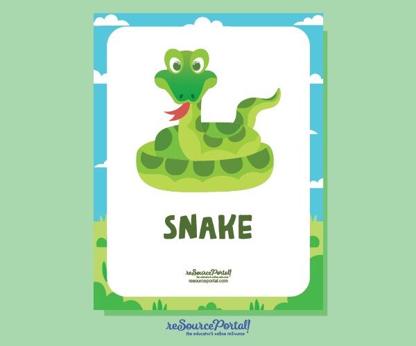 Snake Study Guide